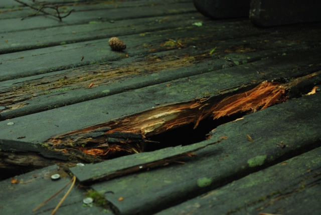 木材　損傷