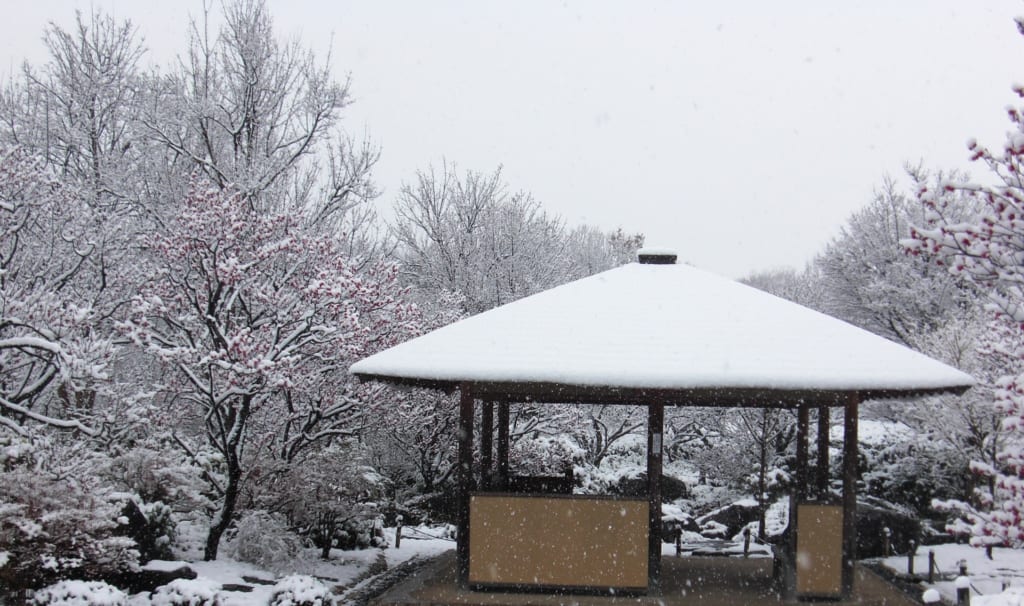 屋根　雪
