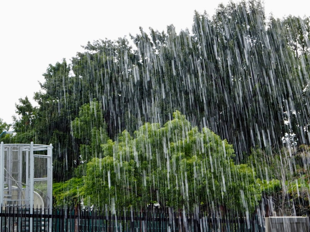 台風