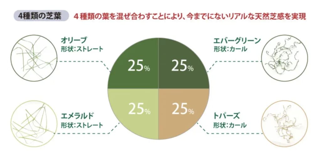 芝糸