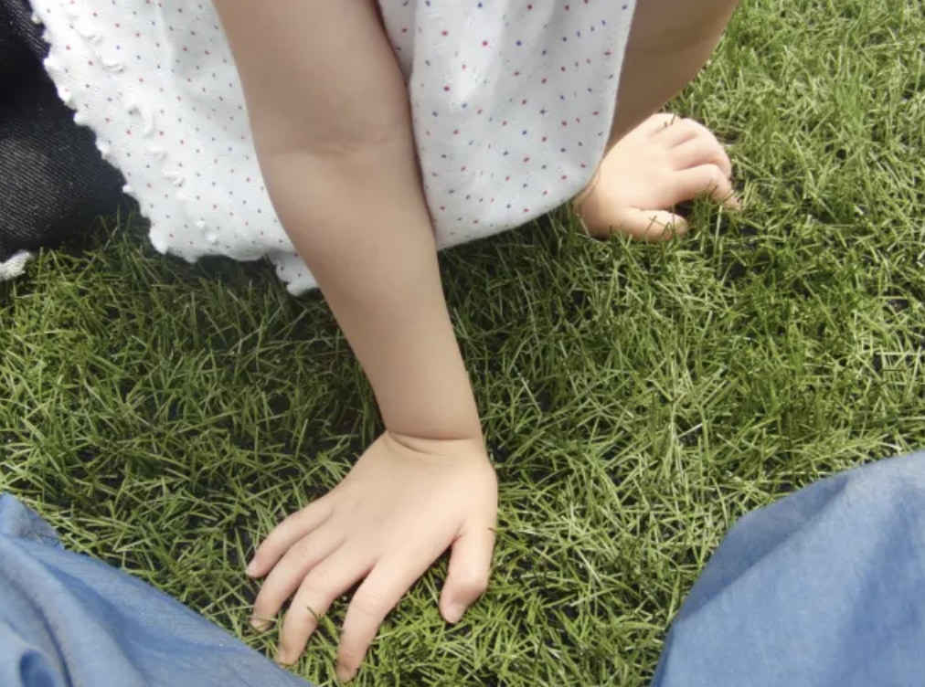 子ども