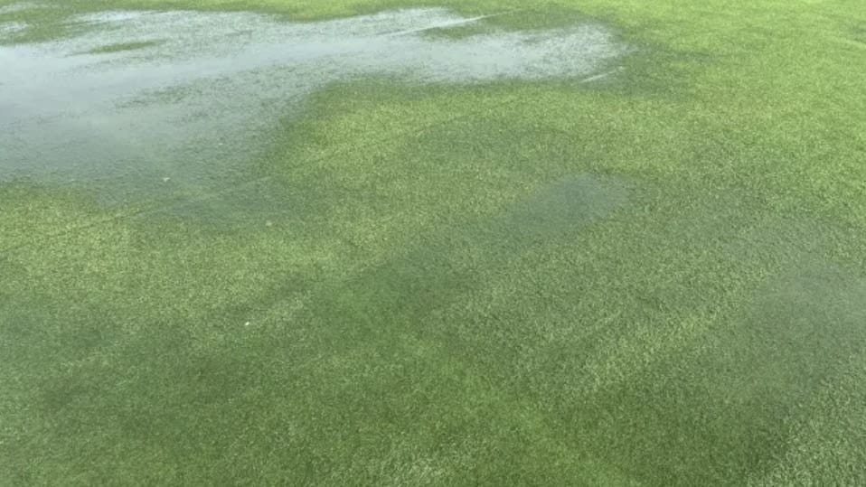 水たまり