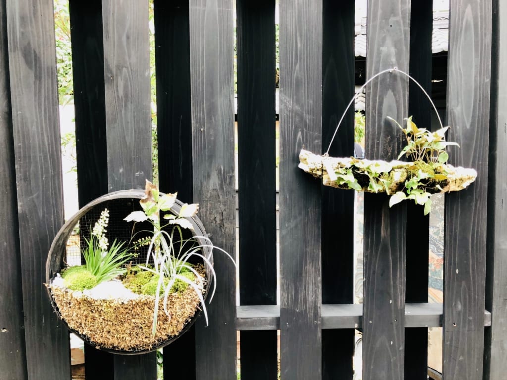 植栽