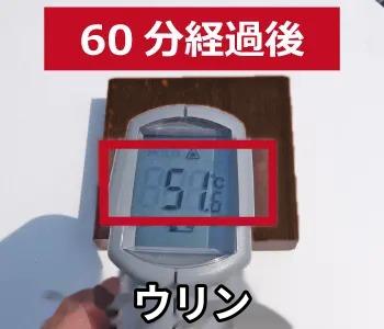 ウリン 表面温度