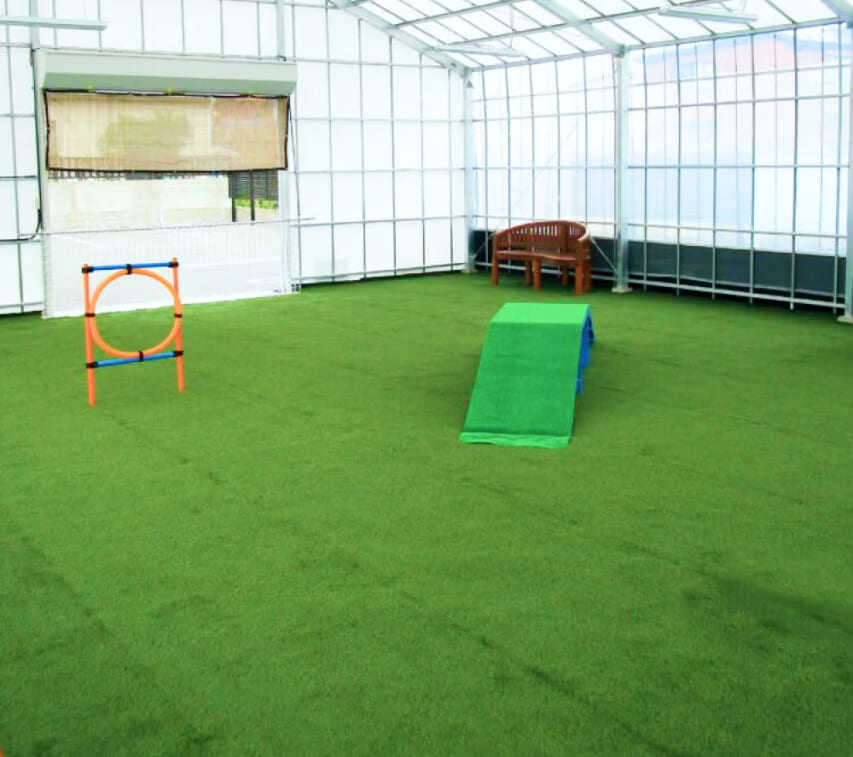 Eternal Turf Lite T28Lの施工写真