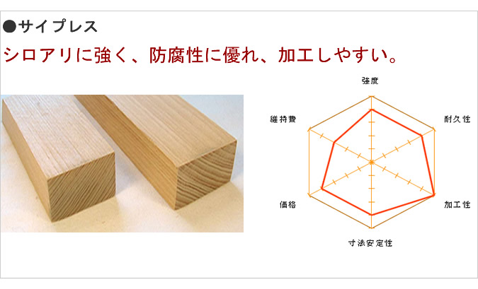 サイプレス比較