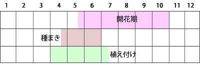 nichinichisou.jpg